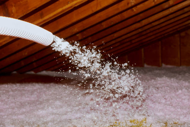 Best Home Insulation Services  in Providence, KY