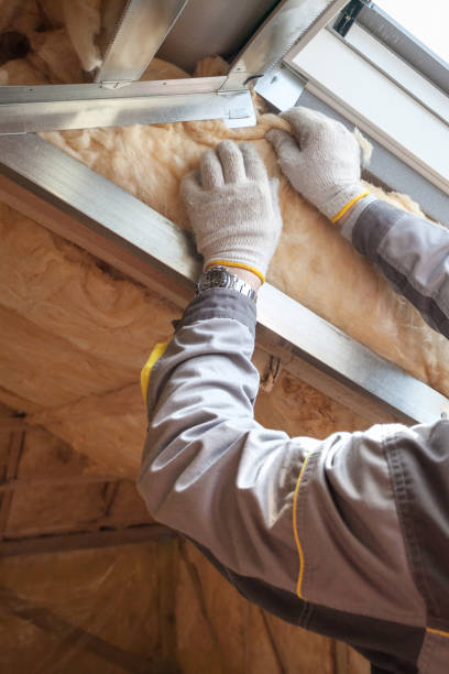 Best Blown-in Insulation  in Providence, KY